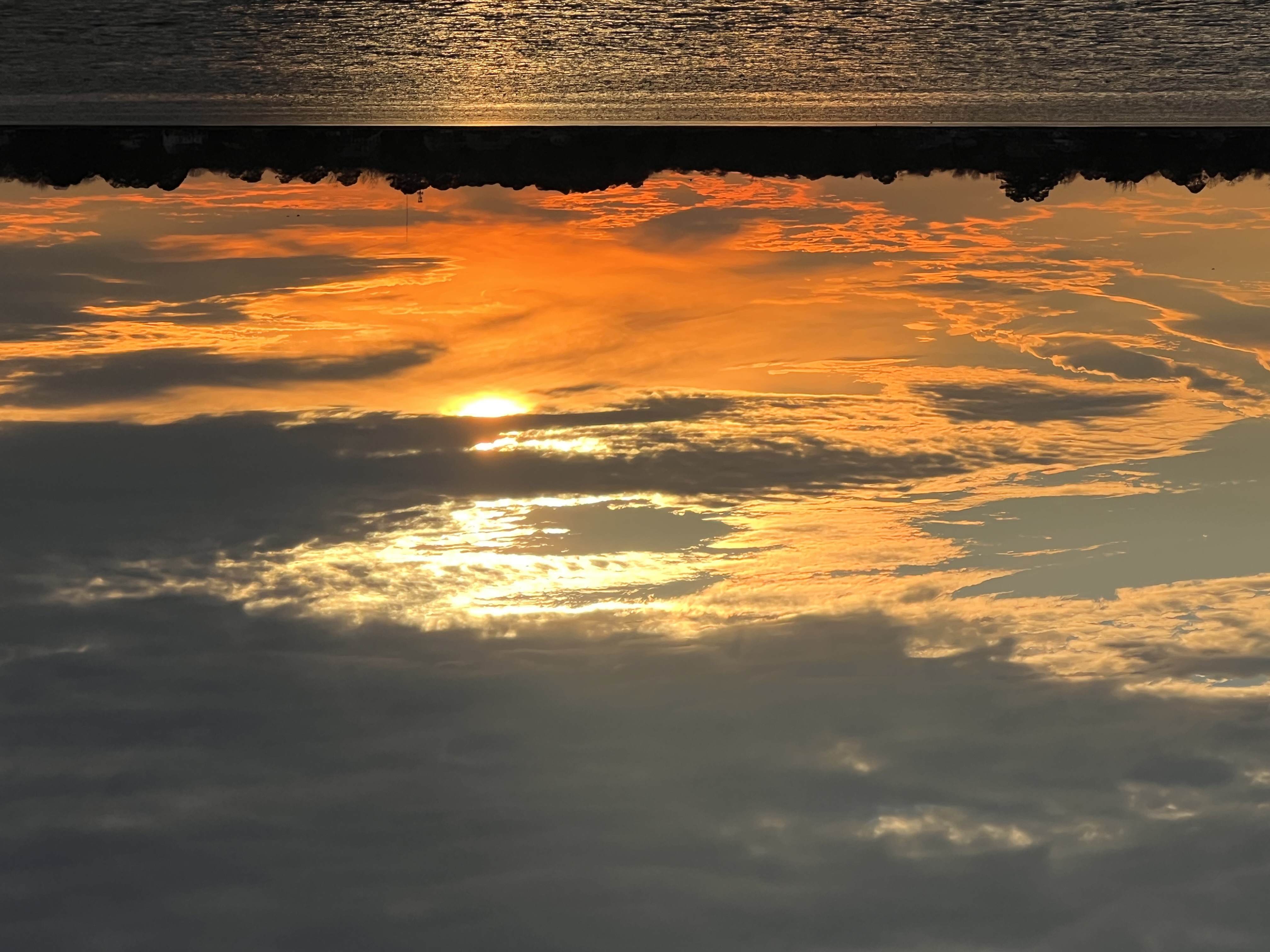 ./2023/01 - New Bern/IMG_6115.JPG